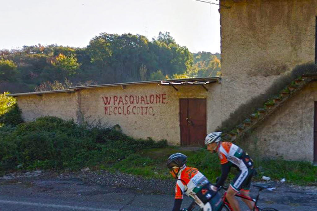 scritta pasqualone necci